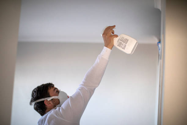 Best Professional Mold Removal  in Minerva Park, OH