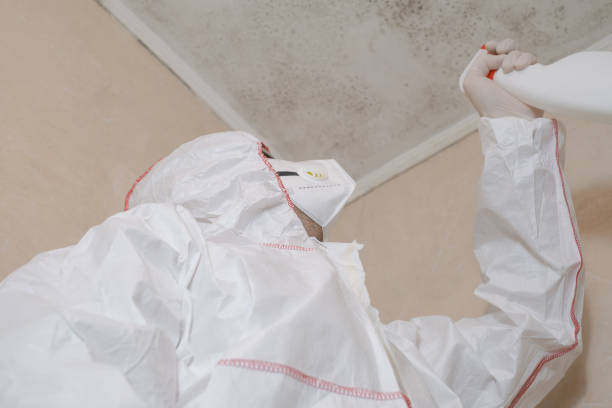 Best Crawl Space Mold Removal  in Minerva Park, OH
